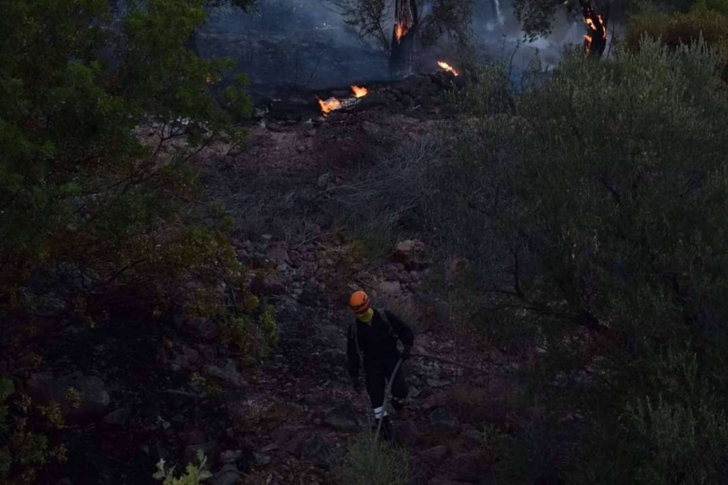 fotia lesvos 12