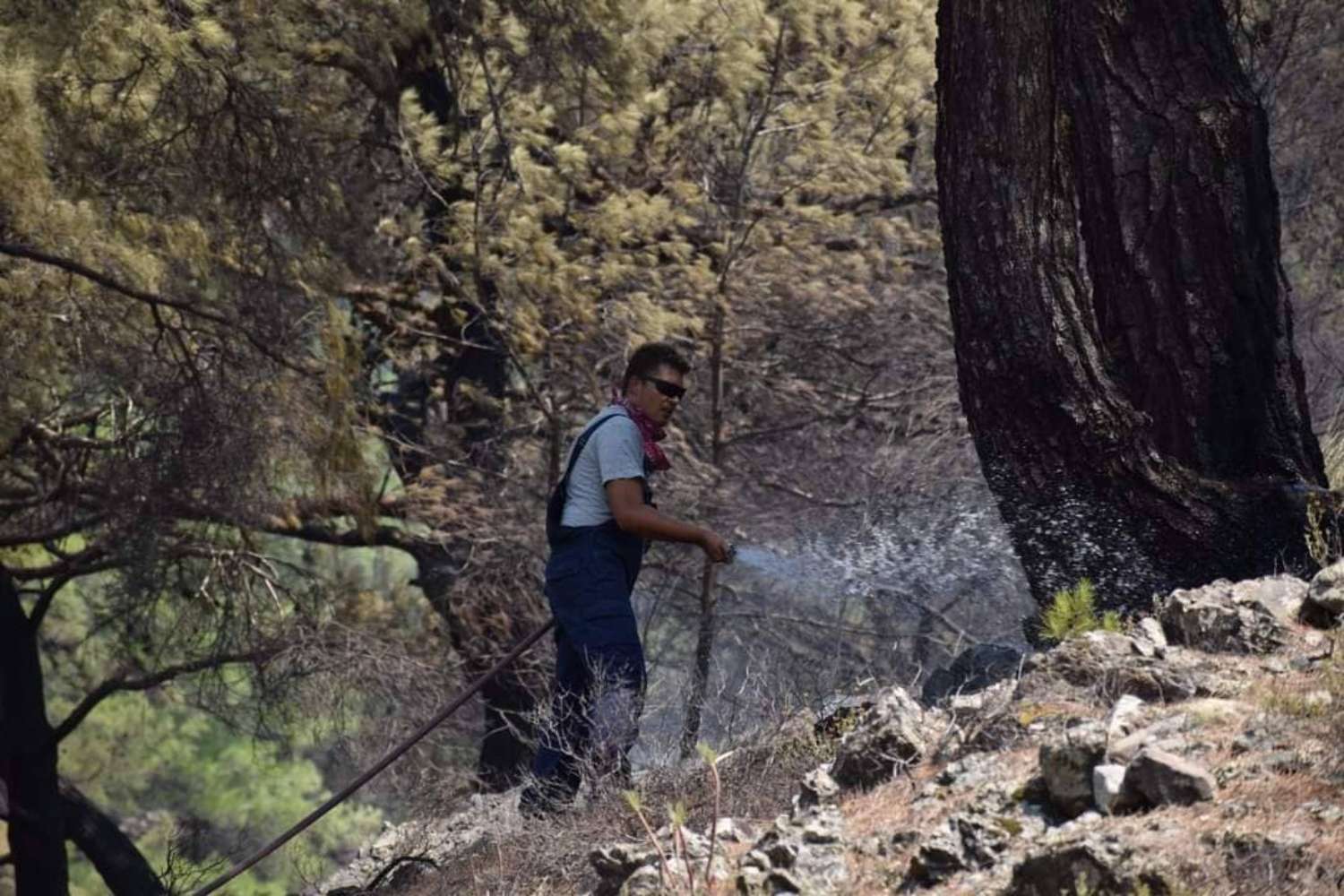 fotia lesvos 4