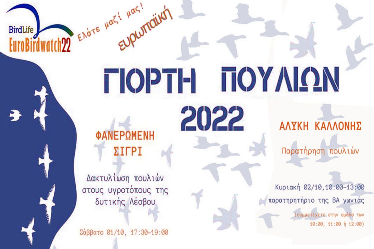 Η Λέσβος συμμετέχει στην Ευρωπαϊκή Γιορτή Πουλιών 2022