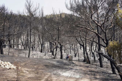 Υπέγραψε ο Σκρέκας την απόφαση Κατασκευής Αντιδιαβρωτικών και Αντιπλημμυρικών Έργων Καμμένων Εκτάσεων στις πληγείσες περιοχές Βατερών – Βρίσας – Σταυρού