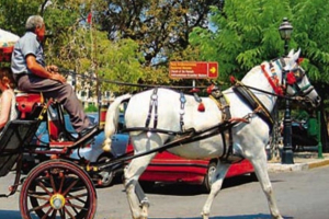 Ανέκδοτο: Ο Κυρ Κώστας και η άμαξα με τα άλογα …! Τρελό γέλιο