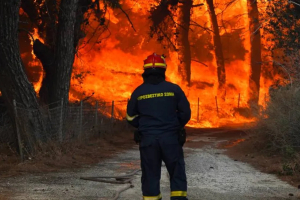 Ημερίδα διαβούλευσης της μελέτης «Σύνταξη αντιπυρικού Σχεδίου για το Νομό Λέσβου»