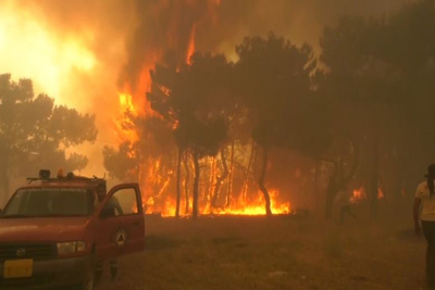 Ακόμα περιμένουν τις αποζημιώσεις οι αγρότες από την πυρκαγιά στα Βατερά