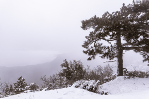 Σάμος: Ακραία καιρικά φαινόμενα, εκδήλωση φαινομένων χιονοπτώσεων στα ορεινά