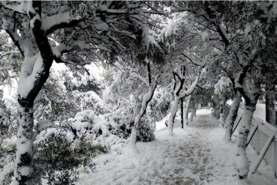 Έπεσαν τα πρώτα χιόνια της χρονιάς στα χιονοδρομικά κέντρα της Βόρειας Ελλάδας