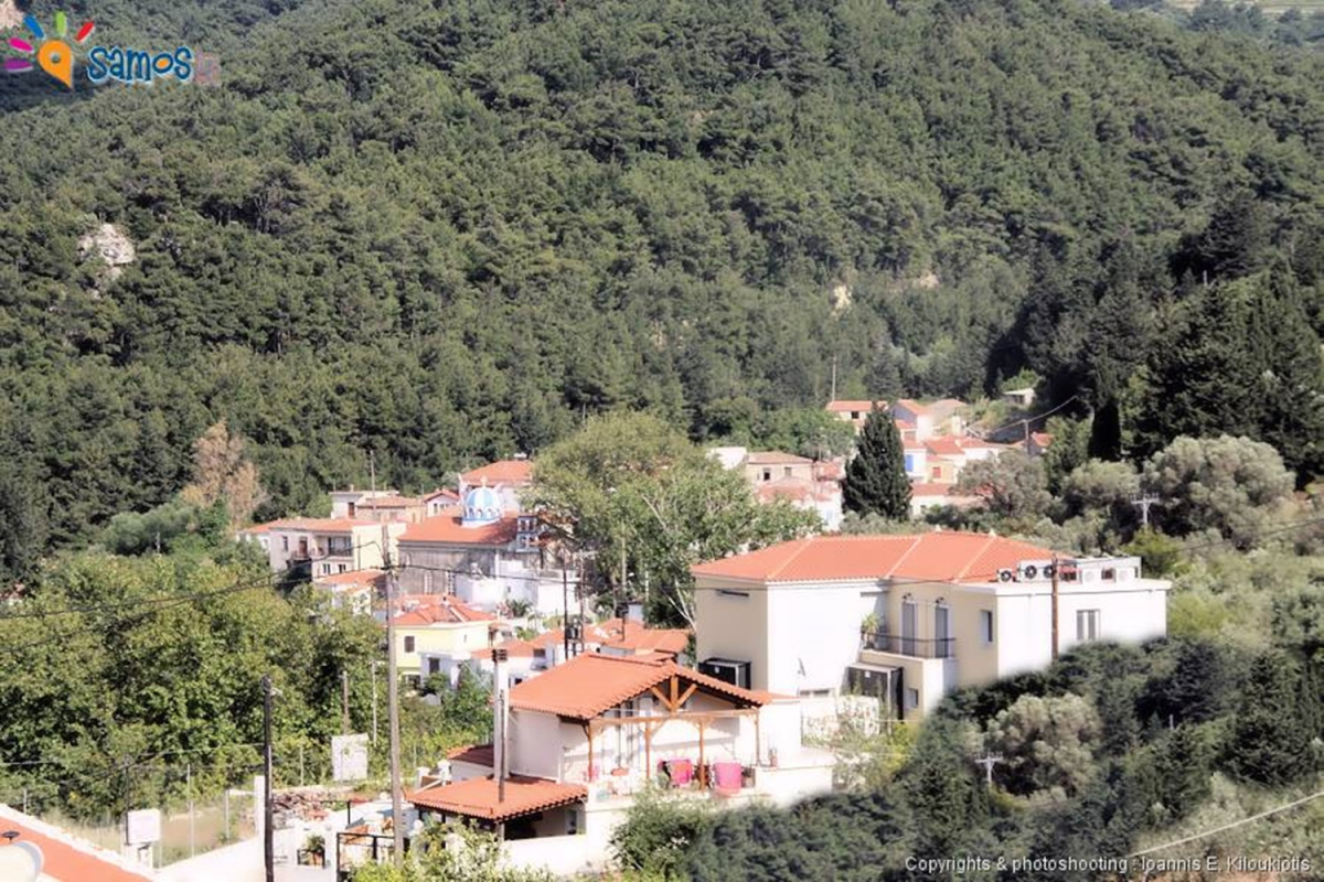 Σάμος: Χάνεται η ελληνική ύπαιθρος; Το νέο Π.Δ. ξεσηκώνει θύελλα – Σφοδρή αντίδραση από την ΑΝΑΣΑ