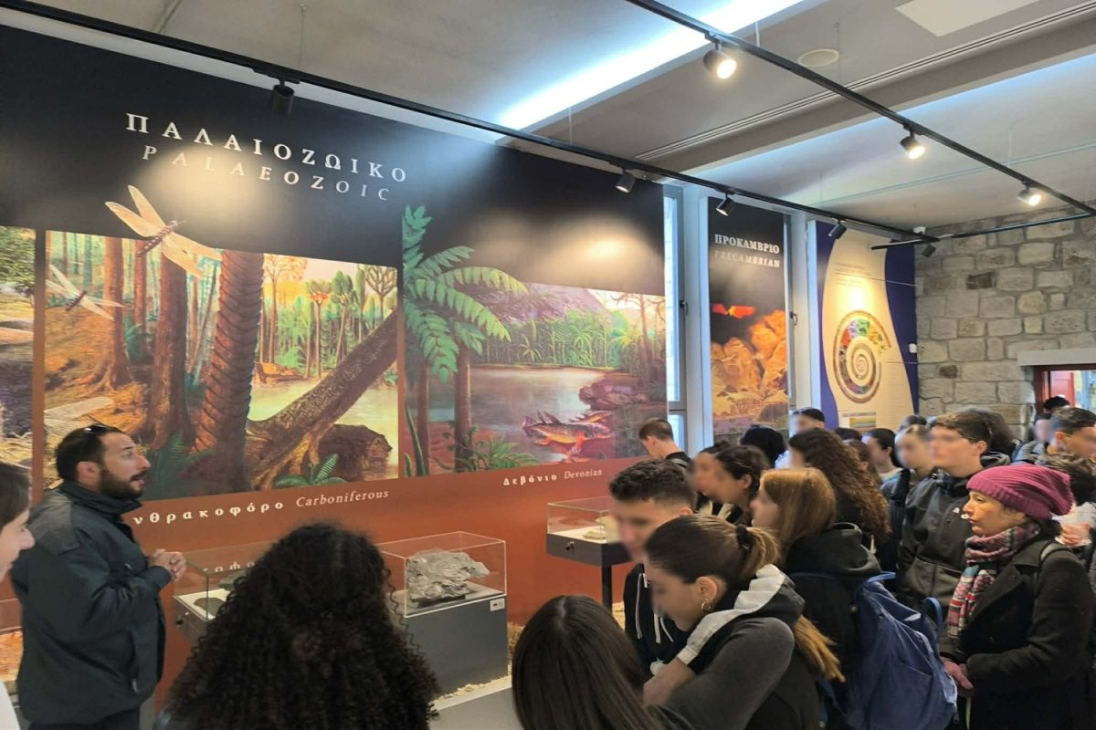 Πυκνώνουν οι εκπαιδευτικές επισκέψεις στο Απολιθωμένο Δάσος Λέσβου μαθητών από το εξωτερικό