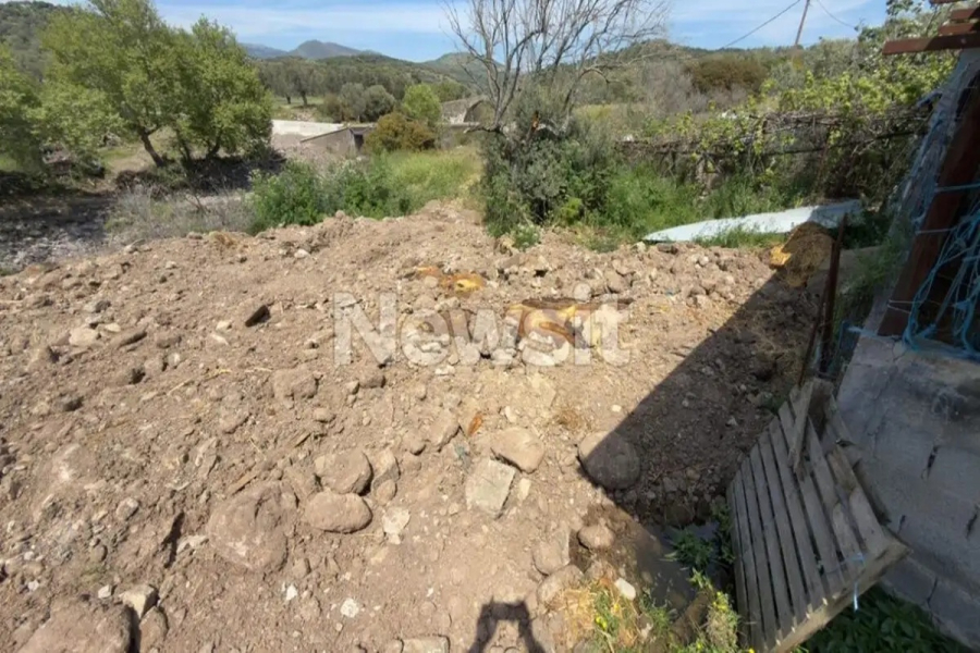 Αφθώδης πυρετός: «Υγειονομική βόμβα» οι χώροι ταφής των μολυσμένων ζώων στη Λέσβο – Δείτε φωτογραφίες