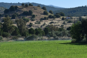 Μυτιλήνη: Παραχωρήθηκε δημοτική έκταση για να ανασκαφεί και αναδειχθεί η αρχαία Αρίσβη