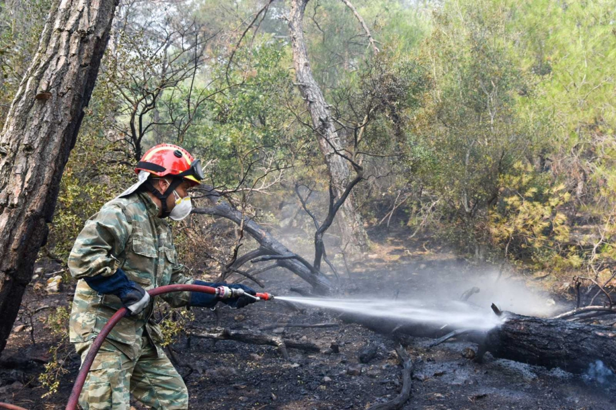 Φωτιά στον Έβρο: Παγίδα θανάτου για 18 μετανάστες