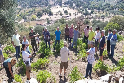 Λέσβος: Μεγάλο το ενδιαφέρον για το βιωματικό εργαστήριο μπολιάσματος Αμπελώνα (pics)