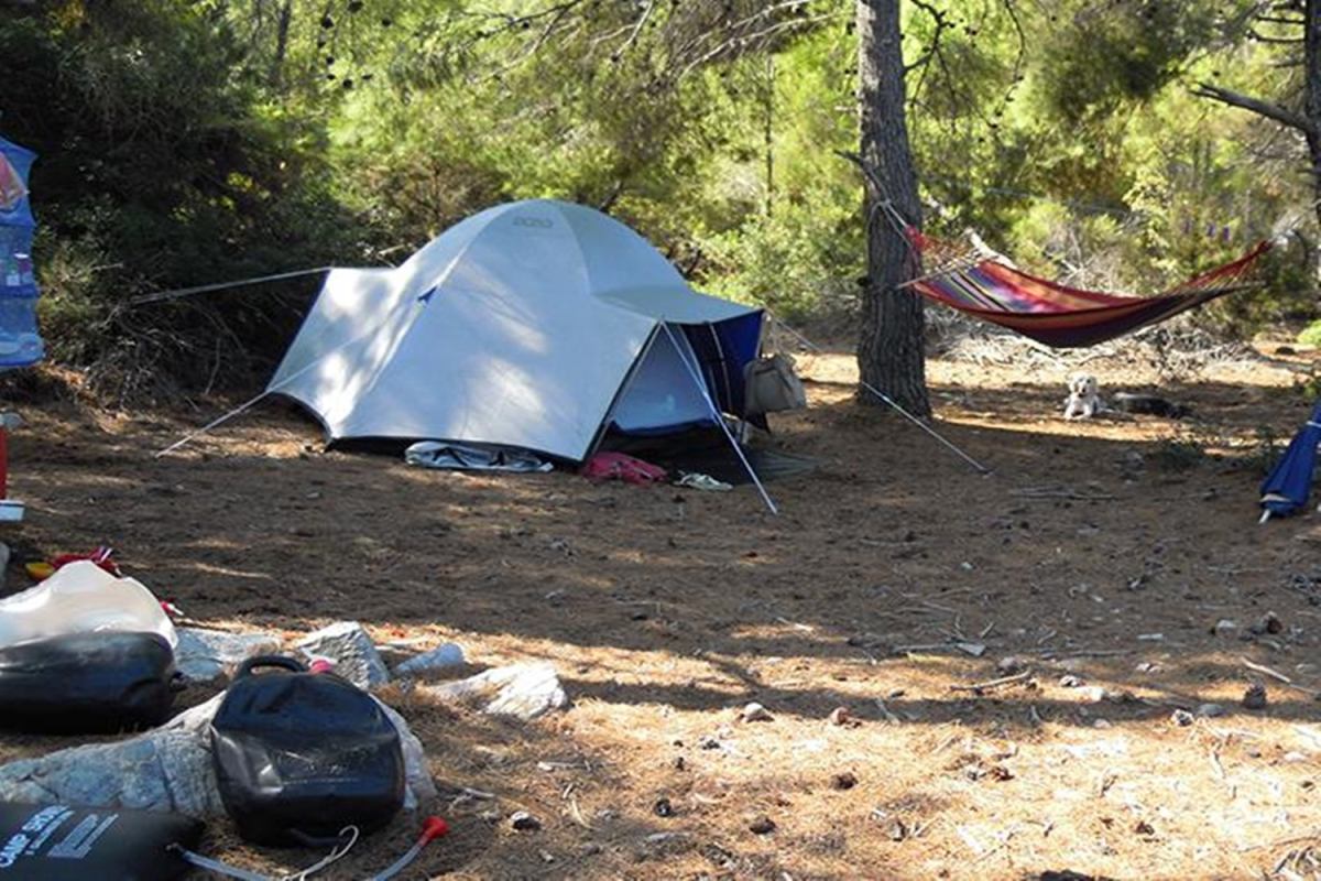 Λέσβος: Ποινική δικογραφία σε 30 άτομα για παράνομη κατασκήνωση