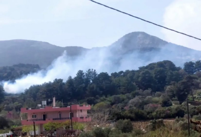 Φωτιά στη Σάμο - Ισχυρές πυροσβεστικές δυνάμεις στο σημείο (pics)