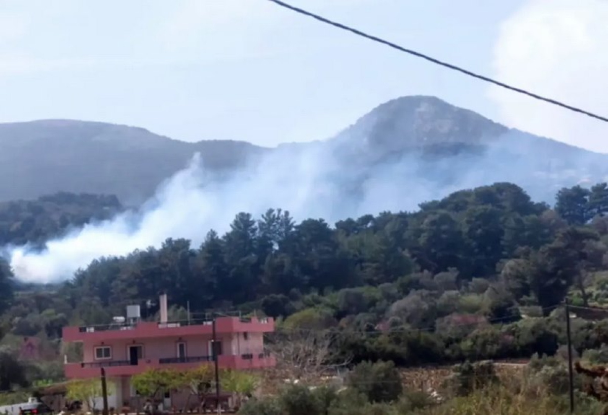 Φωτιά στη Σάμο - Ισχυρές πυροσβεστικές δυνάμεις στο σημείο (pics)