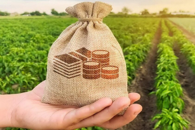 Έρχεται το Ταμείο Μικρών Δανείων Αγροτικής Επιχειρηματικότητας