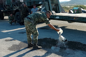 Στρατιωτικός διέσωσε πελαργό που κάηκε στα πόδια από τη φωτιά στην Λέσβο! (vid)