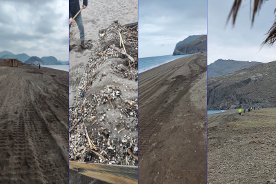 Ο Δήμος Δυτικής Λέσβου καθάρισε την παραλία της Ερεσού
