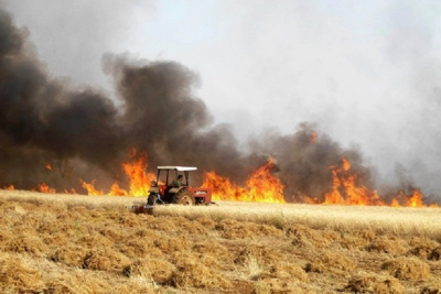 Λέσβος: Στο ΚΕΠ Πολιχνίτου οι δηλώσεις του ΕΛΓΑ για τις ζημιές από την πυρκαγιά της 23ης Ιουλίου