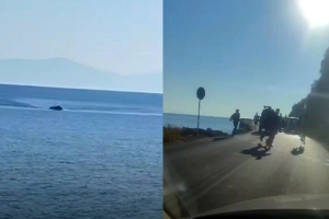 Απίστευτο συμβάν στη Σάμο: Παράνομοι μετανάστες διέκοψαν την κυκλοφορία σε κεντρικό δρόμο (VID)
