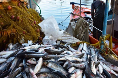 ΥπΑΑΤ: Εγκρίθηκε το Πρόγραμμα Αλιείας, Υδατοκαλλιέργειας, Θάλασσας 2021-2027