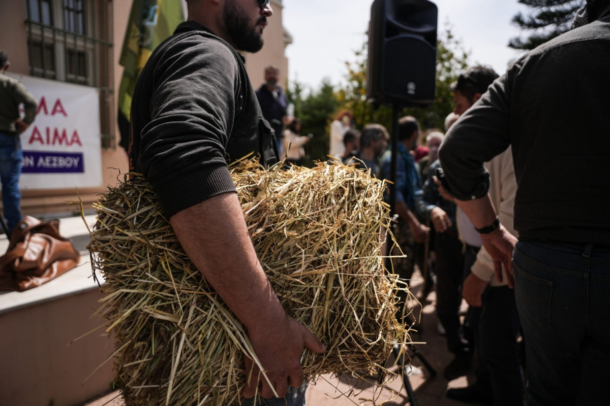 Πανελλαδικό «κύμα» συμπαράστασης: Στο πλευρό των κτηνοτρόφων της Λέσβου και η Π.Ο.Ε.-Ο.Τ.Α.