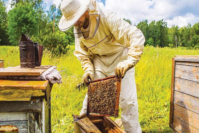 ΚΚΕ: Να λυθούν άμεσα τα σοβαρά προβλήματα που αντιμετωπίζουν οι μελισσοκόμοι