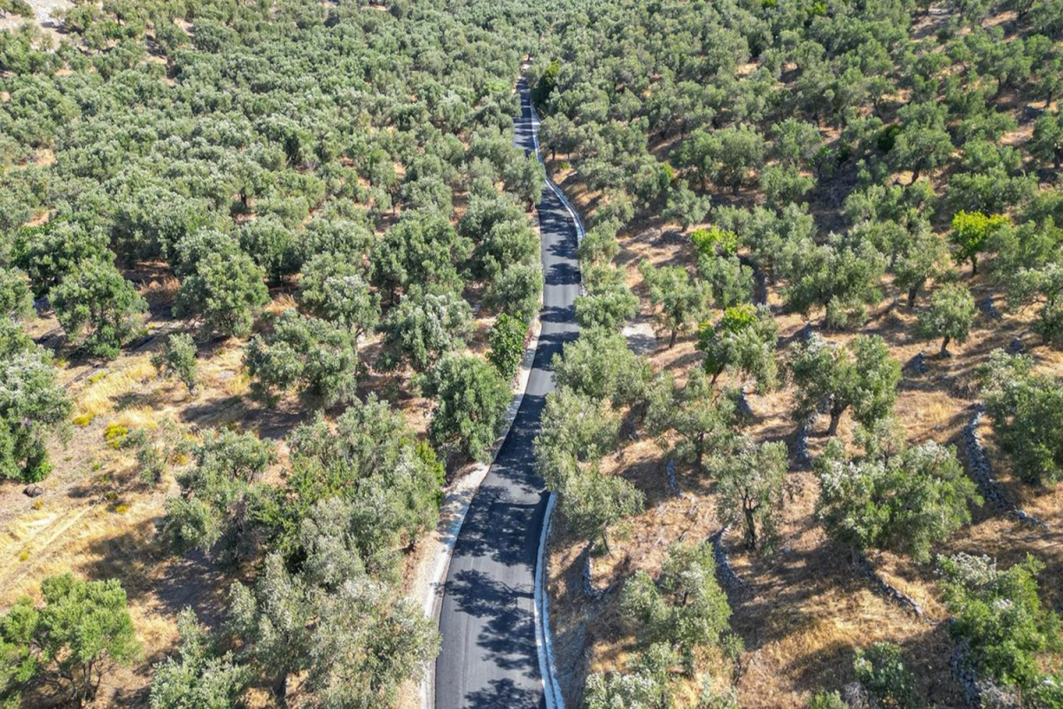 Λέσβος: Ολοκληρώθηκαν τα έργα ασφαλτόστρωσης και τσιμεντόστρωσης στην περιοχή του Τάρτι