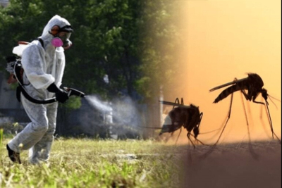 Δήμος Ανατολικής Σάμου: Ξεκίνησε η διαδικασία για το πρόγραμμα καταπολέμησης των κουνουπιών