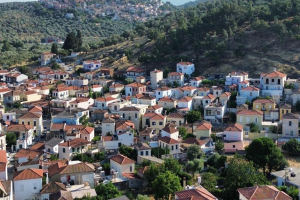 Λέσβος: Από το πανηγύρι… στο κρατητήριο – Σάλος με τη σύλληψη προέδρου για τη γιορτή χωριού
